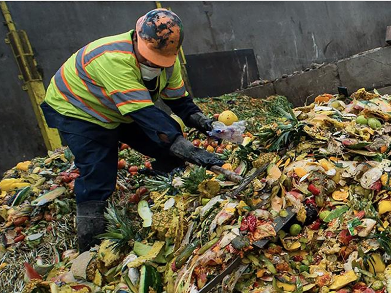 A worker standing on a pile of food waste